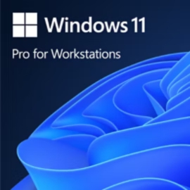 Windows 11 Pro para Estações de Trabalho Efetue tarefas exigentes com eficácia usando o Windows 11 Pro para Estações de Trabalho. Criado para projetos como trabalhos com uso intensivo de elementos gráficos e processamento massivo de dados. Acelera cargas de trabalho pesadas com segurança e desempenho em nível de servidor. Até 4 CPUs e 6 TB de memória. O suporte à memória persistente proporciona um armazenamento de dados ultrarrápido.